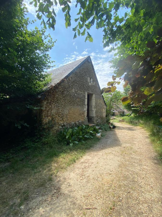 Loire Valley Llama Farm Stay Lavernat Exterior foto