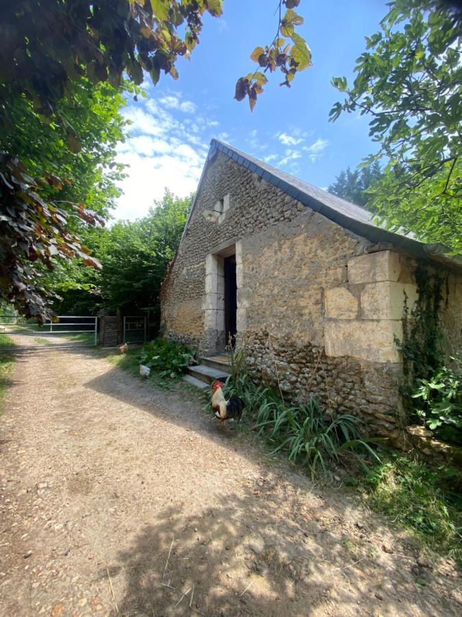 Loire Valley Llama Farm Stay Lavernat Exterior foto