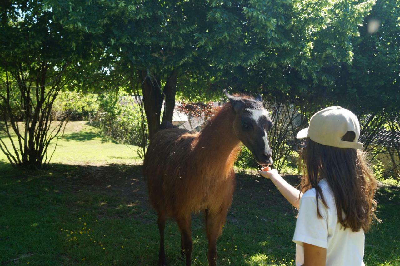 Loire Valley Llama Farm Stay Lavernat Exterior foto