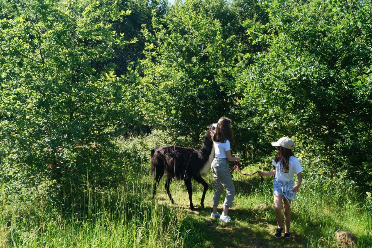 Loire Valley Llama Farm Stay Lavernat Exterior foto